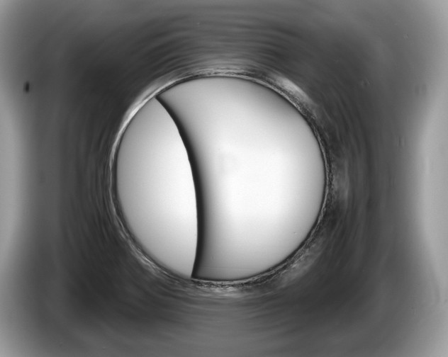 X0000087601370200704271035