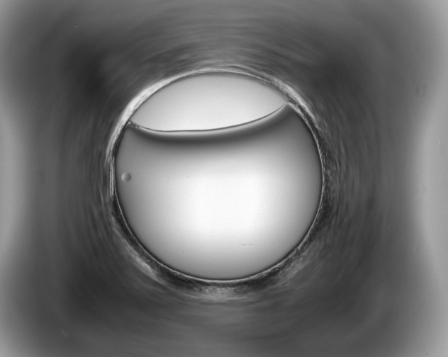 X0000087601371200704271035