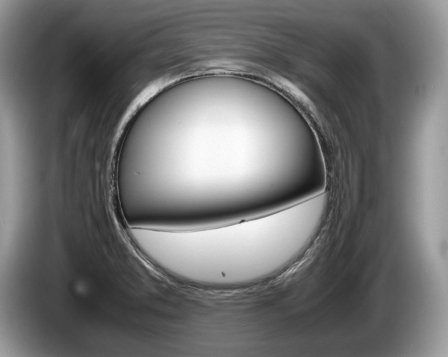 X0000087601373200704271035
