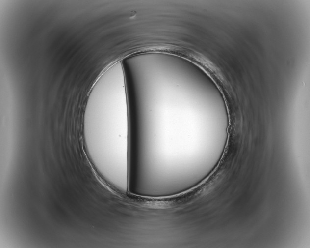 X0000087601377200704271035