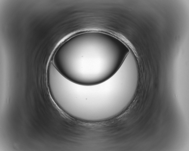 X0000087601380200704271035