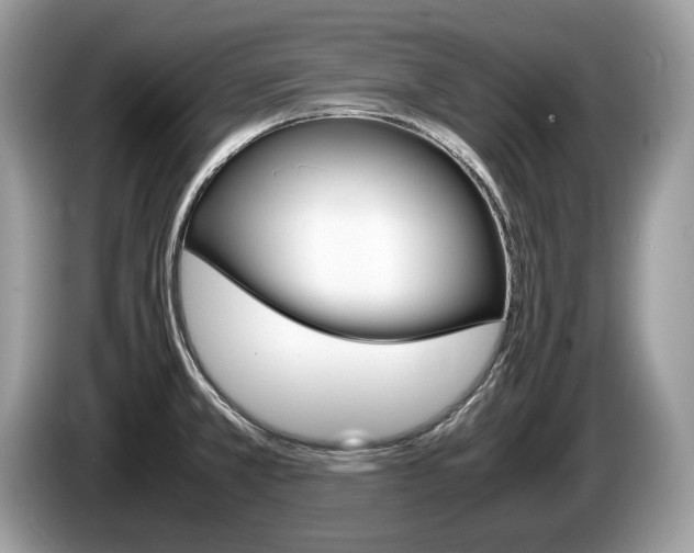 X0000087601381200704271035
