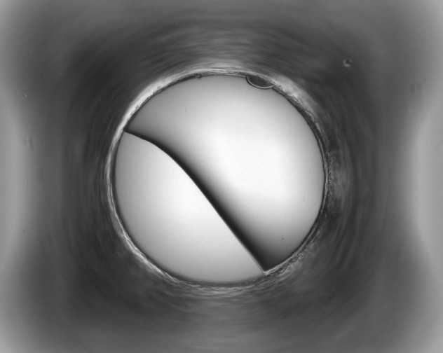 X0000087601382200704271035
