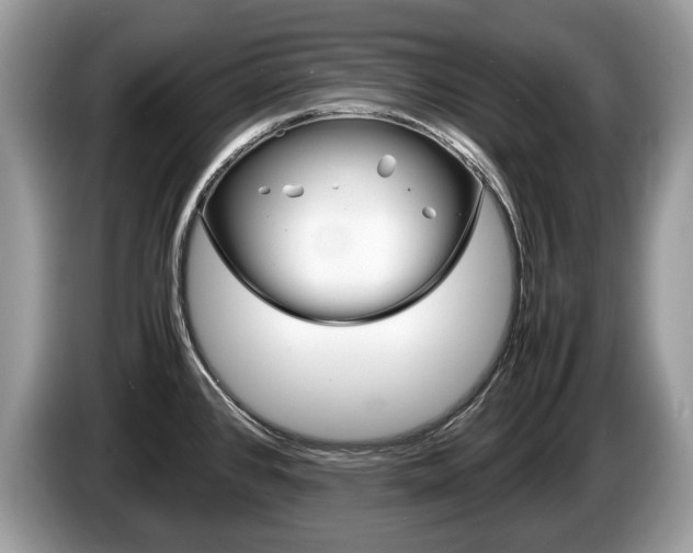 X0000087601384200704271035