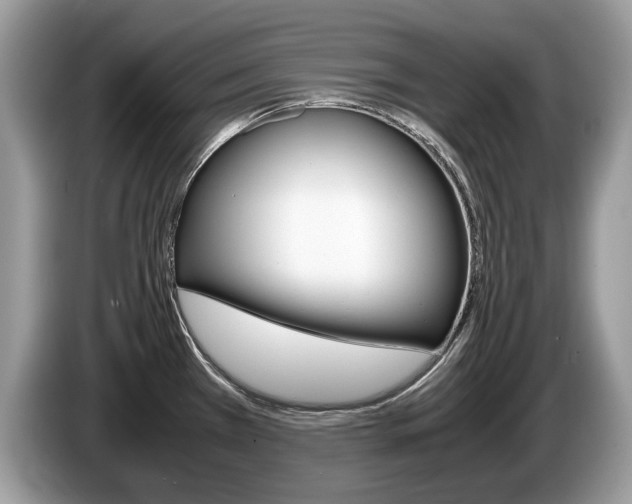 X0000087601385200704271035