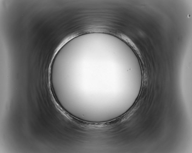 X0000087601386200704271035