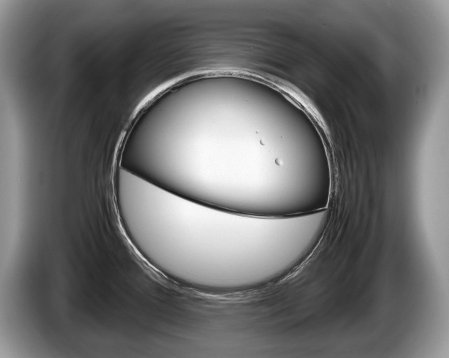 X0000087601388200704271035