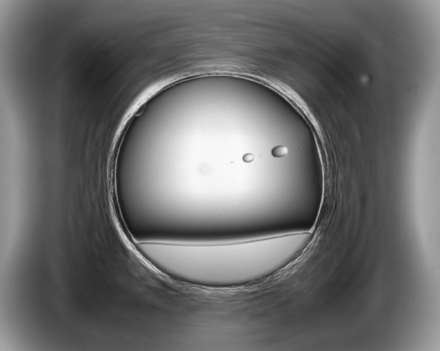X0000087601389200704271035