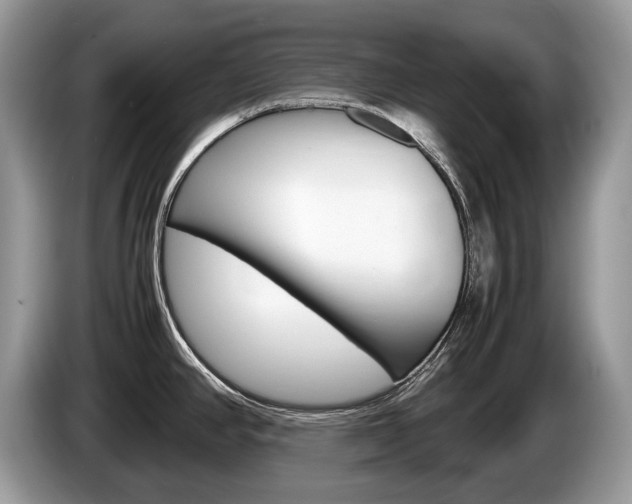 X0000087601390200704271035