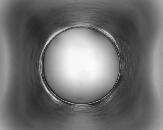 X0000087601391200704271035