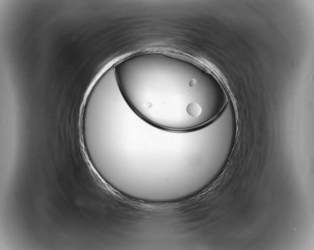 X0000087601392200704271035