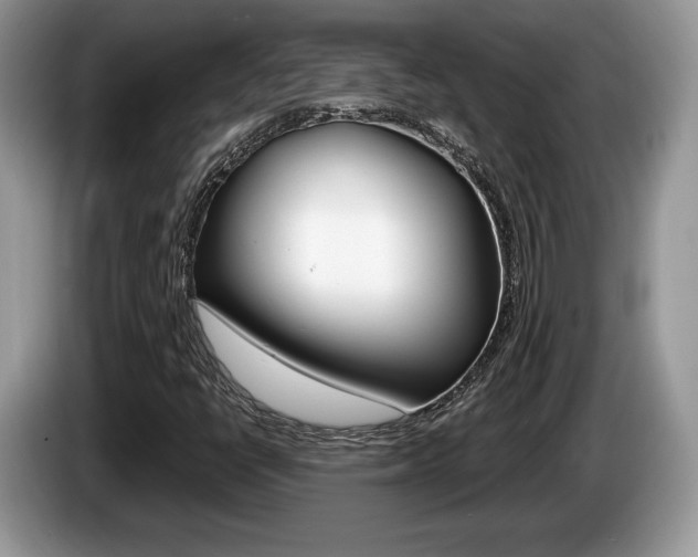 X0000087601398200704271035