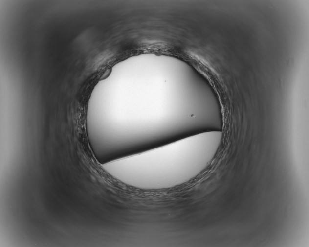 X0000087601399200704271035