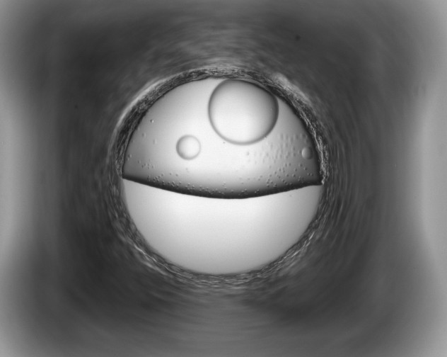 X0000087601400200704271035