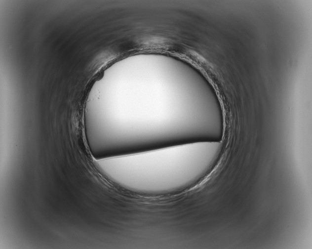 X0000087601401200704271035