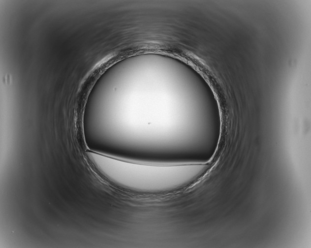 X0000087601402200704271035