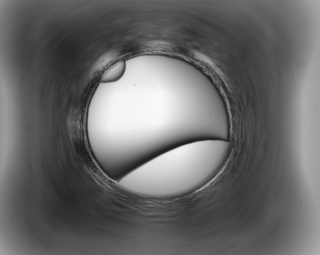 X0000087601403200704271035