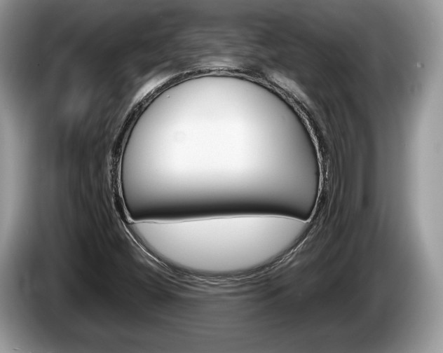 X0000087601404200704271035