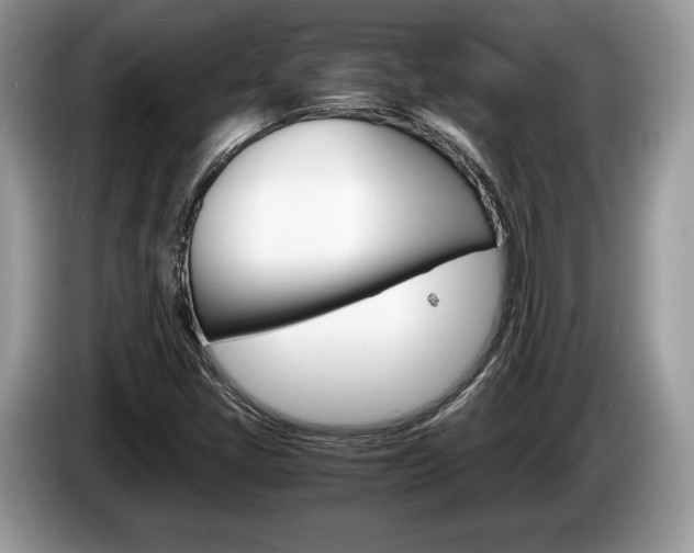 X0000087601405200704271035