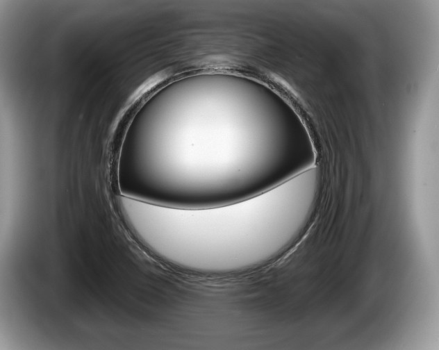 X0000087601410200704271035