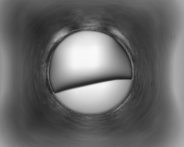 X0000087601411200704271035