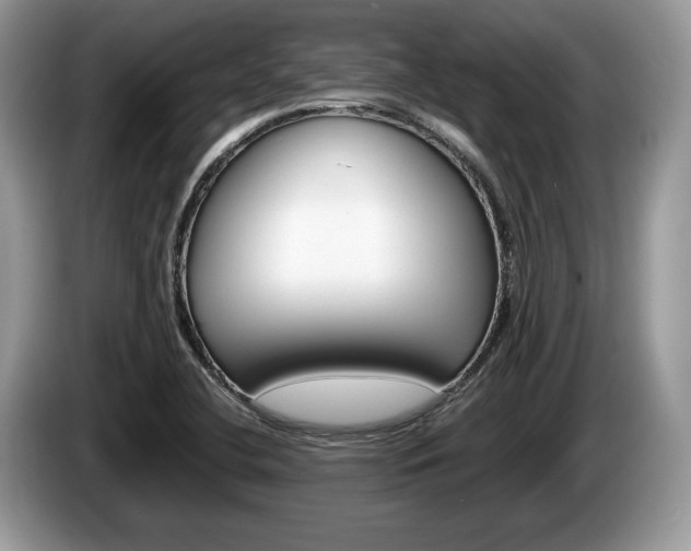 X0000087601412200704271035