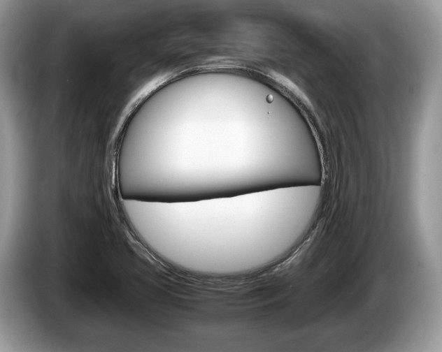 X0000087601413200704271035