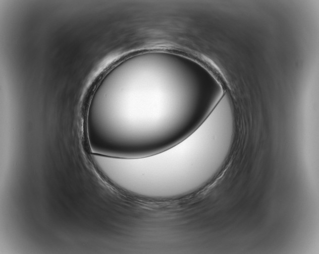 X0000087601414200704271035