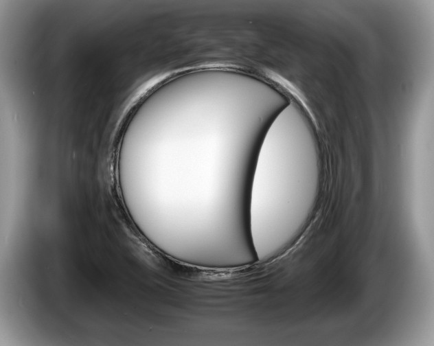 X0000087601415200704271035