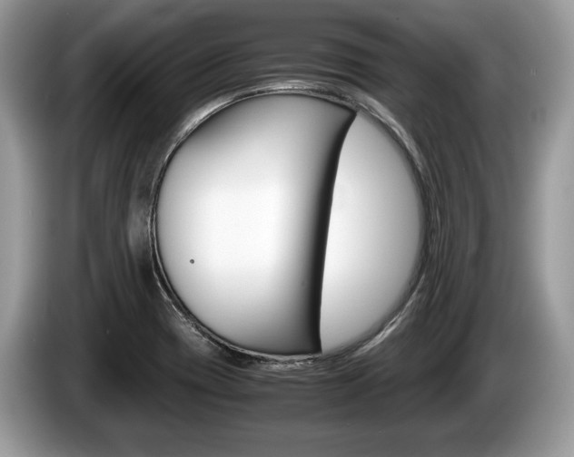 X0000087601417200704271035