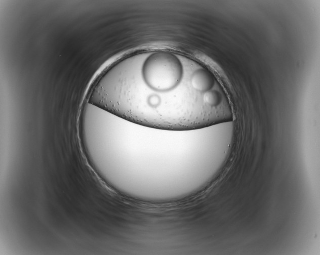 X0000087601420200704271035