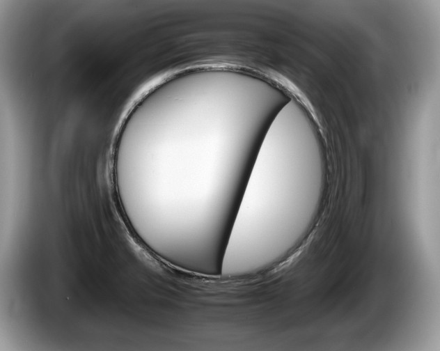 X0000087601421200704271035