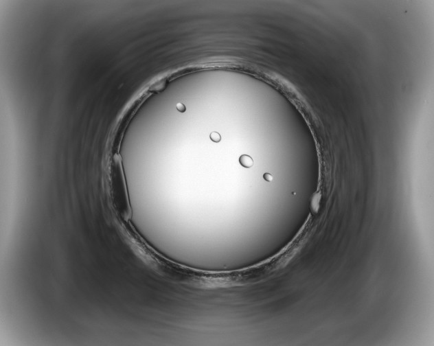 X0000087601422200704271035