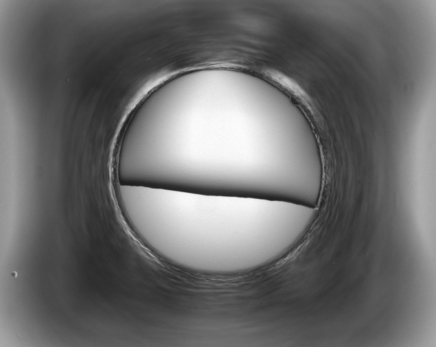 X0000087601423200704271035