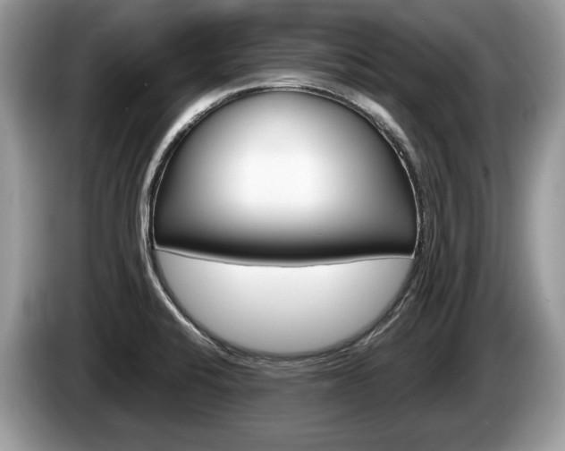 X0000087601424200704271035