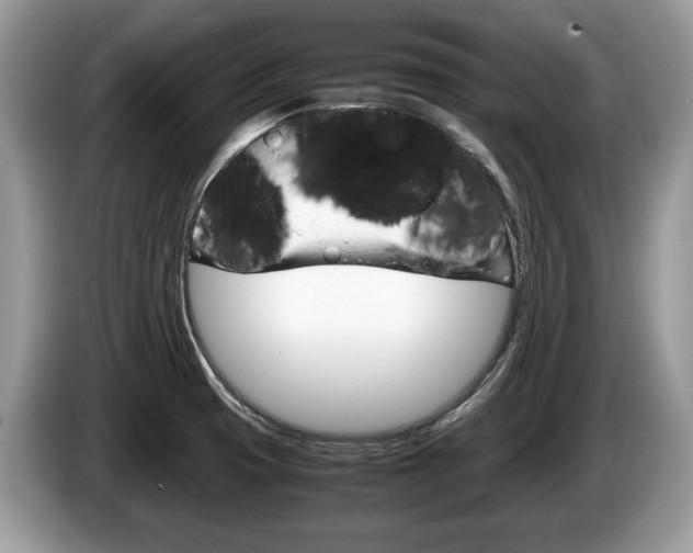 X0000087601425200704271035