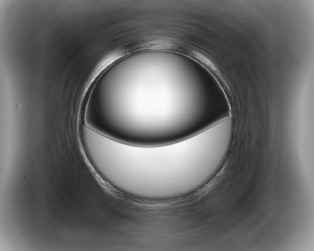 X0000087601426200704271035