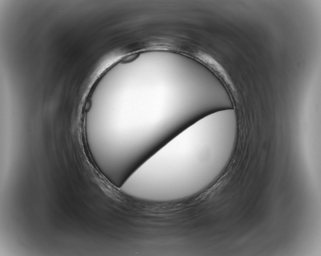 X0000087601427200704271035
