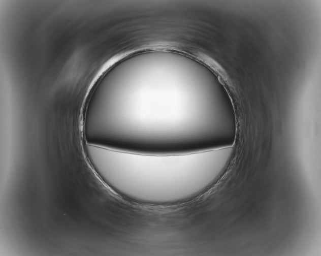 X0000087601428200704271035