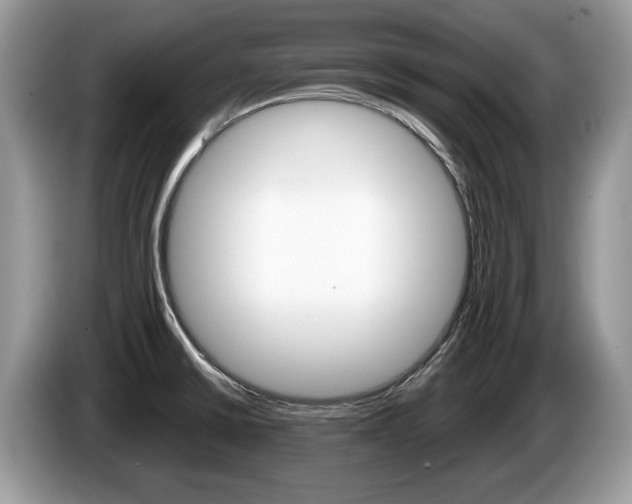 X0000087601430200704271035