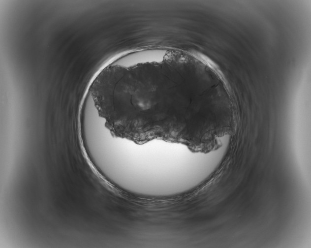 X0000087601431200704271035
