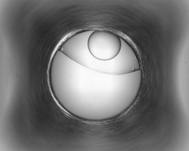 X0000087601432200704271035