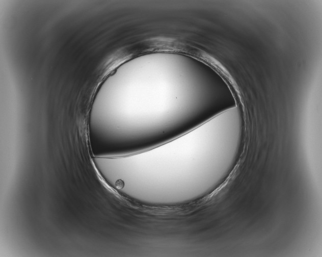 X0000087601433200704271035