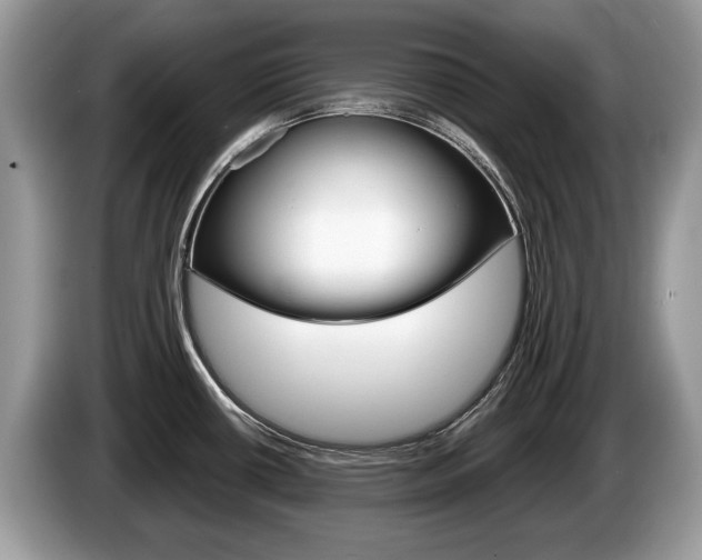X0000087601434200704271035