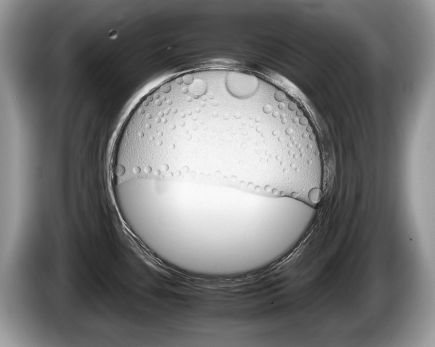 X0000087601435200704271035