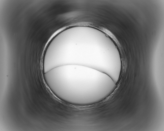 X0000087601436200704271035