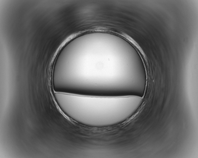 X0000087601437200704271035