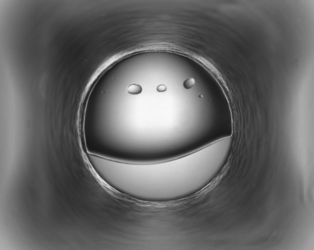 X0000087601438200704271035