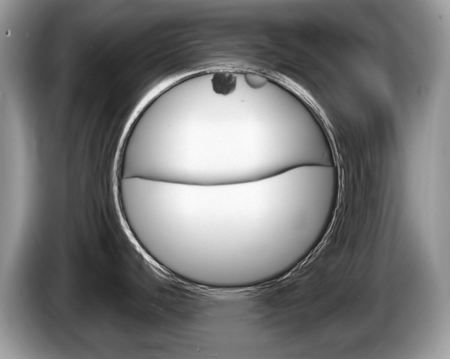 X0000087601440200704271035