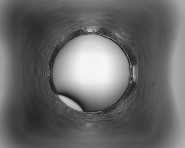 X0000087601443200704271035